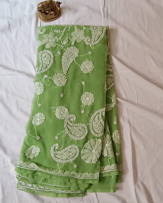 Light Green Resham Georgette Chikankari