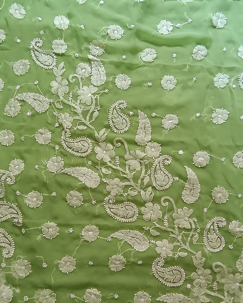 Light Green Resham Georgette Chikankari