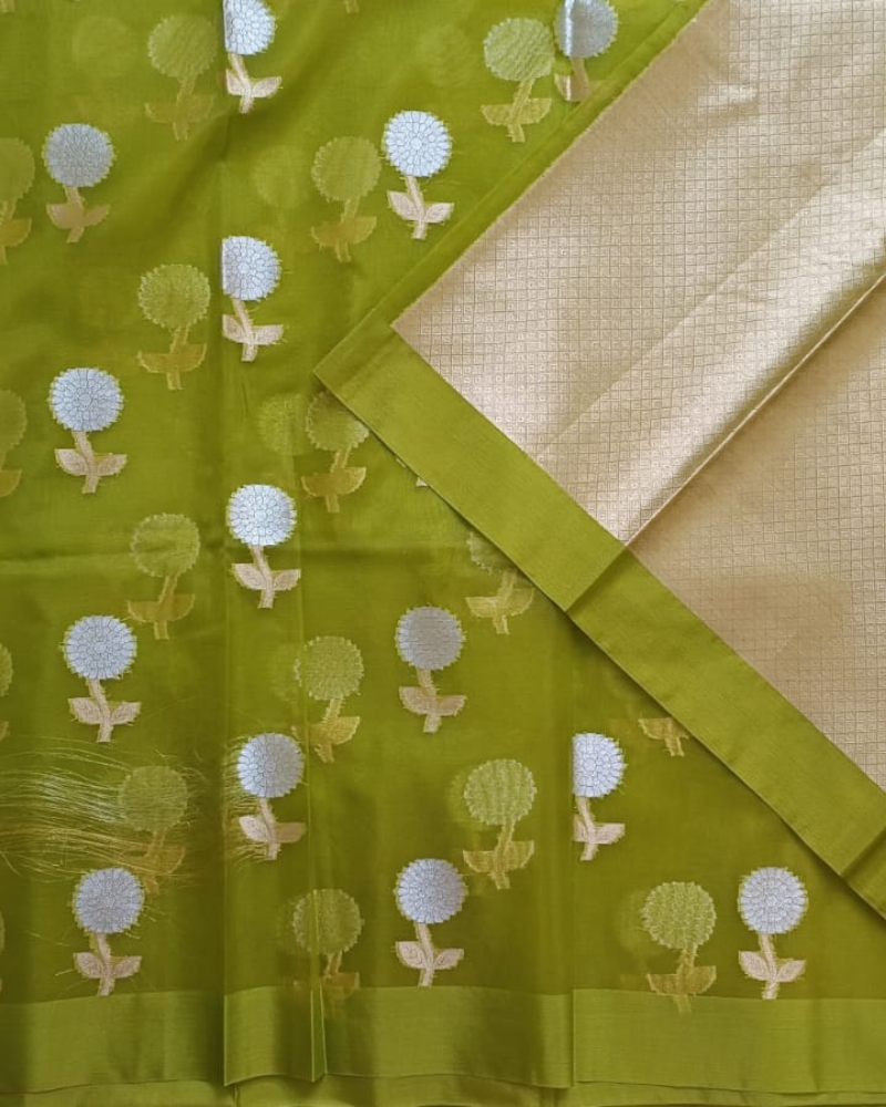 Pastel Green Banarasi Semi Kora Organza Saree